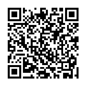 牛大力率领七八名锦衣官校打着灯笼端着掣电枪紧随其后二维码生成