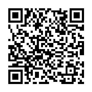 牛毛细针和单晶云母丝在风雷谷长老体内拼命一搅二维码生成