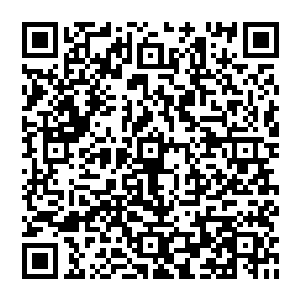 牛皓此刻则已经身在死亡山林边缘目光闪烁盯死亡山林四面法阵光幕脸上明显露出了一丝后悔之色二维码生成