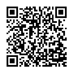 牛皓脸被法宝遮掩看不清表情但露出双眸中却透一丝狡诈阴毒二维码生成