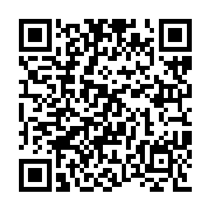 牛老的兽皇仙罗丹本来需要的那三种最贵的药材二维码生成