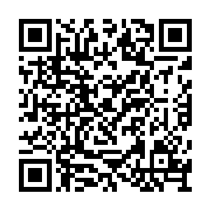 牛逼大了……现在已经彻底不将老子放在眼里了二维码生成