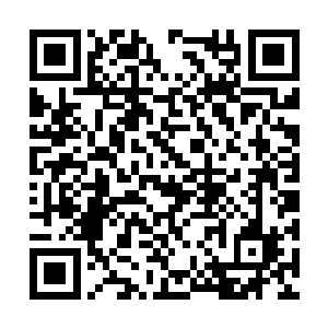 牟天博现在对女婿的动向了解得比国安系统还清楚二维码生成