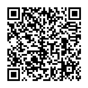 牟晨菲慢慢从宽大奢华的卡拉加里木板和牛津皮包裹的操控台边探起头二维码生成