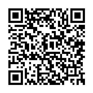 牟晨菲给巴克早就押的好几套服装挪一套给伍曦二维码生成