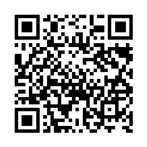 牡丹一直不爽的心情突然亮起一抹快意二维码生成