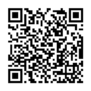 牢牢的将上面的报名方式和试镜时间记在了脑子里二维码生成