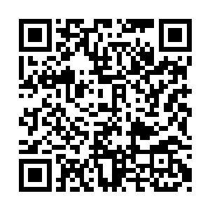 牧少岳自然是成为了本次少年英雄大会的大热门二维码生成