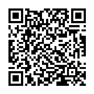 物怪只一另的里馆育体个这在了醒唤也乎似声掌些这二维码生成