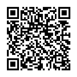 特么的在这里的任何事情都不能用常人的眼光来看待是不是二维码生成