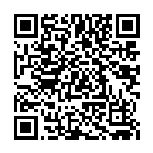 特产大概只有本地的农作物和石头一样的黑面包二维码生成