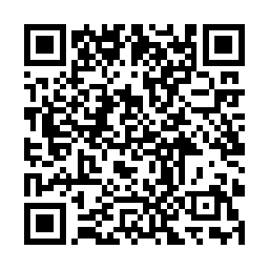 特使仙人起身后扫一眼舰里都是白脉仙人和附庸诸侯二维码生成