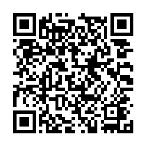 特别是东北督护府境内的一干豪门宗门的骑士之中二维码生成