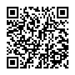特别是亲身经历了这一场你死我活的大阵仗之后二维码生成