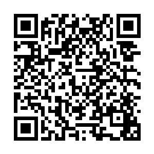 特别是以前她们曾经许下过一起推到羽仙子的誓言二维码生成