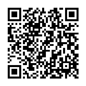 特别是像齐老怪这样隐藏极深的太夏三眼会余孽二维码生成