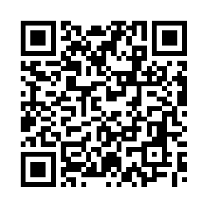 特别是光幕上不断跳动增加的数据二维码生成