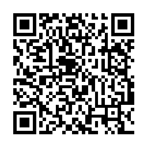 特别是刚才教训张铁的那个老头和旁边的那几个保镖二维码生成