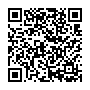 特别是即将面对苏文两部作品改编电影的影视公司二维码生成