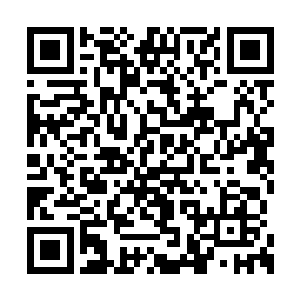特别是右边的黑大个和左边长着六只眼睛的家伙二维码生成