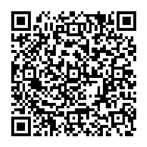 特别是在班子其他成员选拔上直接放宽到了指向这一次各县市区新提拔人选上来了二维码生成