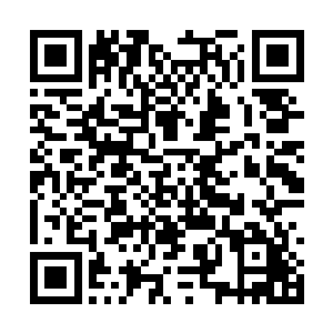 特别是夏天还击败了一个在这里面活了两个月的人二维码生成