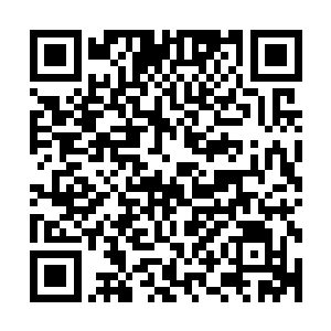 特别是她的指甲也因为太过紧张而陷入自己的肉里而没有察觉二维码生成