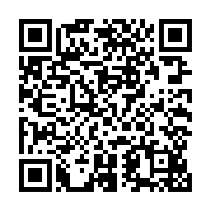 特别是它的两只眼睛仿佛两盏小灯笼一般幽幽的闪着绿光二维码生成