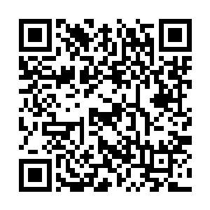 特别是希瓦院长看向秦洛的时候那眼神跟刀子似的二维码生成