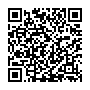 特别是当他们知道那位英俊的公子就是当今的摄政王后二维码生成