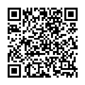 特别是当他发现门口的一个同样是锻骨期的保安二维码生成