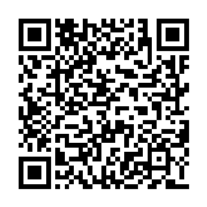 特别是感应到杨戬身上那悲凉沧桑的气息的时候二维码生成