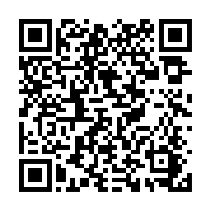 特别是我记录梦境的笔记本以及被我撕裂的哑铃片二维码生成
