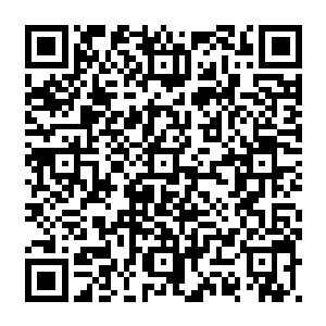 特别是李朝天不惜耗费巨资打通关系将赵长枪送到亚马逊魔鬼训练营接受特种训练二维码生成