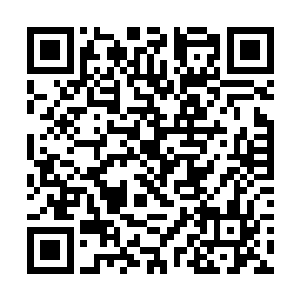 特别是珍稀的妖兽仔和妖兽蛋我出五千两黄金收购呢二维码生成