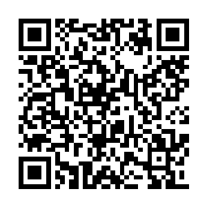 特别是看到大肠冒出的眼睛望着自己不断的眨动二维码生成