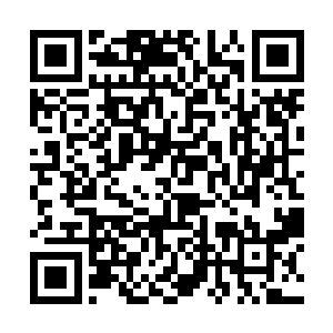 特别是看到孔国明和秦文东的两人眼里的光芒的时候二维码生成