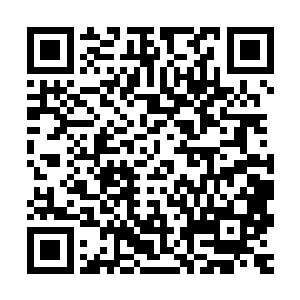 特别是被撞击的头部……苏落能清晰感觉到她颅内血压飙升肿胀二维码生成