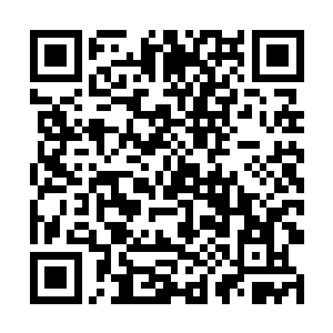 特别是见到此时自己脚下那威风凛凛的金背鹏皇之后二维码生成