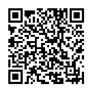 特别是说神翼族很可能隐藏着一位神祖级别的家伙二维码生成