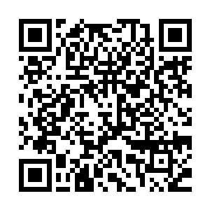 特别是这种药剂相对于其他的中草药来说价格还非常昂贵的时候二维码生成