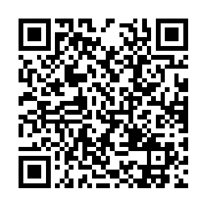 特别是那个比普通客机大得太多的跑车运输货舱口二维码生成