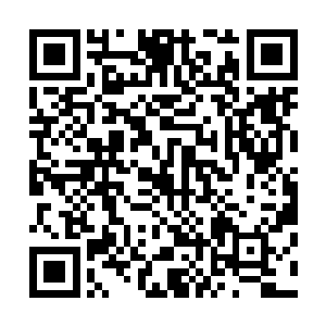 特别是那个虚影的眼神让龙傲天有一种如坠冰窟一般的感觉二维码生成