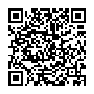 特别是那些不擅长战斗的专家学者都激活了防御法宝二维码生成