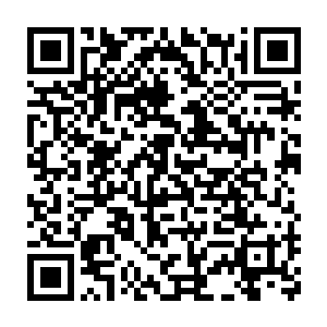 特别是那些普通野狼中至少还有两只能够指挥其他野狼行动的头狼二维码生成