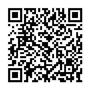 特别是随后天空王座将史都华德开革的通告传开二维码生成