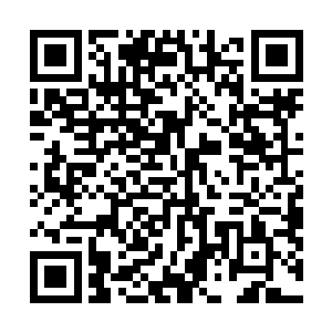 特别看到夏天在那里连其他大势力的人都敢骂敢打的时候二维码生成