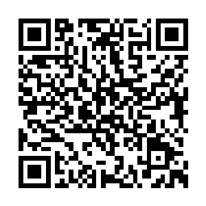 特喵的她还没接到主线任务没激活商场的说···二维码生成