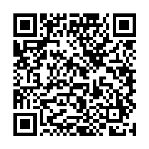 特地交代过了……不允许任何人过来打扰他们的兴致二维码生成