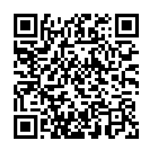 特地起床观看的人们都看着电视荧幕的nbc频道上二维码生成